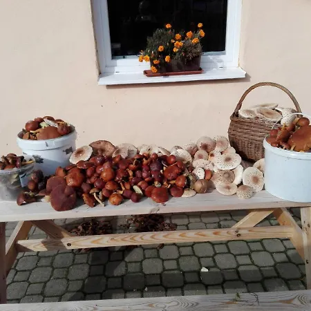 Apartment Mazurskie *